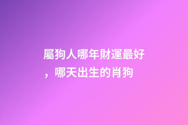屬狗人哪年財運最好，哪天出生的肖狗-第1張-觀點-玄機派