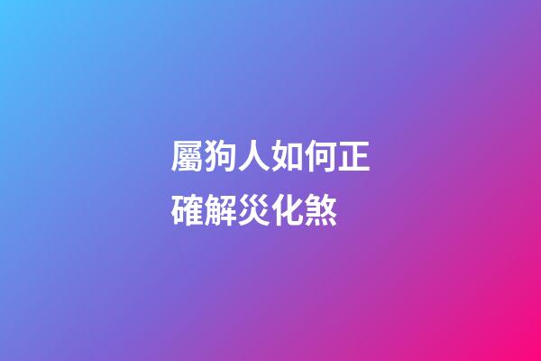 屬狗人如何正確解災化煞