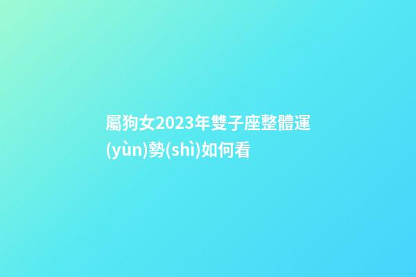 屬狗女2023年雙子座整體運(yùn)勢(shì)如何看-第1張-星座運(yùn)勢(shì)-玄機(jī)派