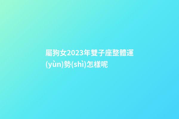 屬狗女2023年雙子座整體運(yùn)勢(shì)怎樣呢