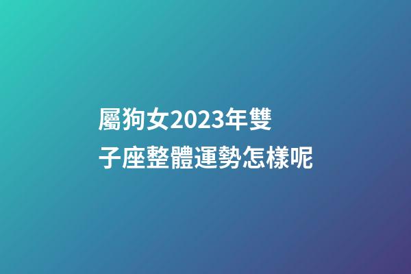 屬狗女2023年雙子座整體運勢怎樣呢-第1張-星座運勢-玄機派