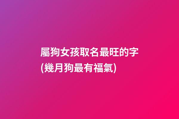 屬狗女孩取名最旺的字(幾月狗最有福氣)