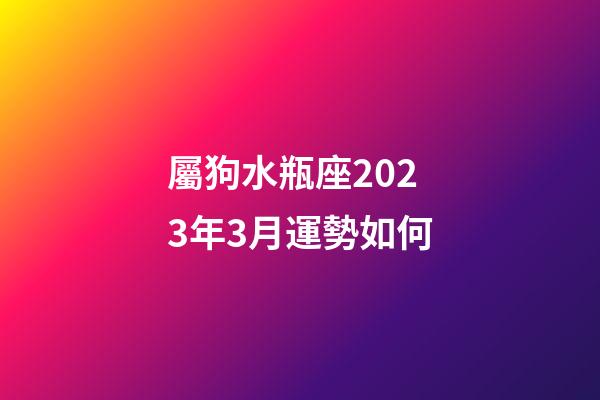 屬狗水瓶座2023年3月運勢如何-第1張-星座運勢-玄機派