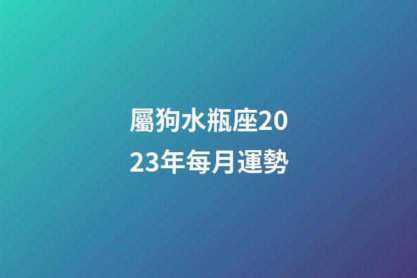 屬狗水瓶座2023年每月運勢-第1張-星座運勢-玄機派