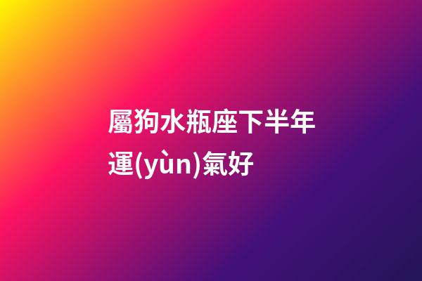 屬狗水瓶座下半年運(yùn)氣好