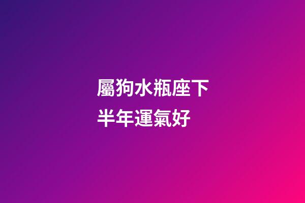 屬狗水瓶座下半年運氣好-第1張-星座運勢-玄機派