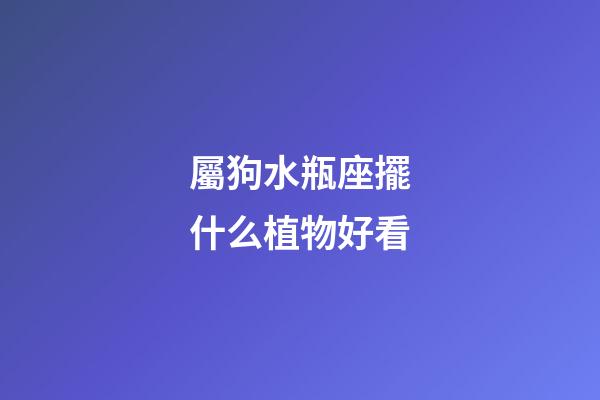 屬狗水瓶座擺什么植物好看