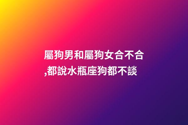 屬狗男和屬狗女合不合,都說水瓶座狗都不談-第1張-觀點-玄機派