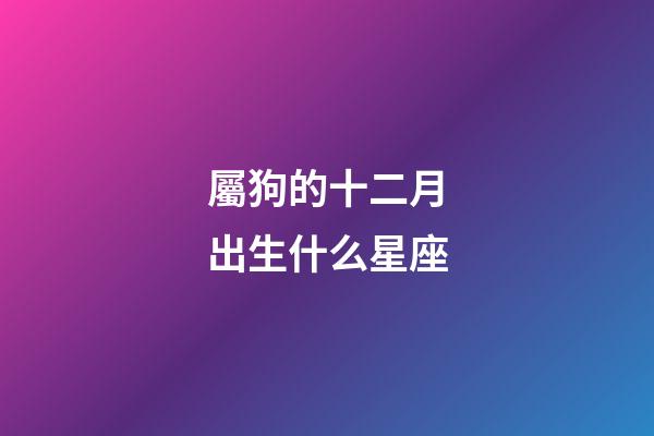 屬狗的十二月出生什么星座-第1張-星座運勢-玄機派