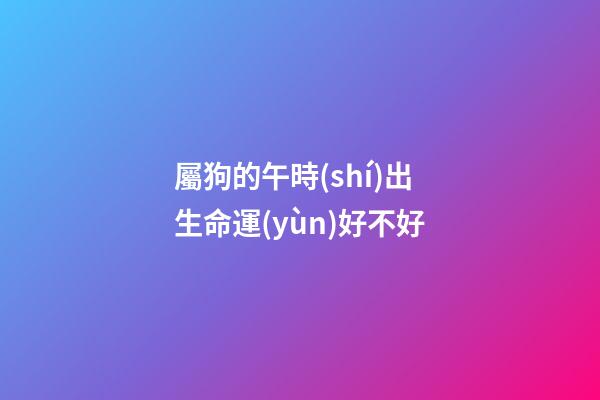 屬狗的午時(shí)出生命運(yùn)好不好