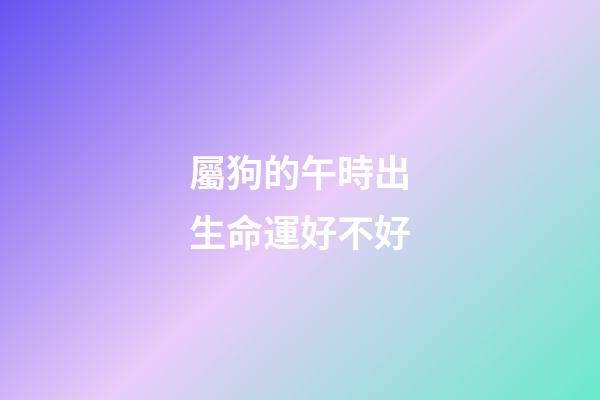屬狗的午時出生命運好不好