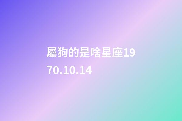 屬狗的是啥星座1970.10.14-第1張-星座運(yùn)勢(shì)-玄機(jī)派