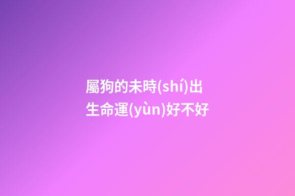 屬狗的未時(shí)出生命運(yùn)好不好