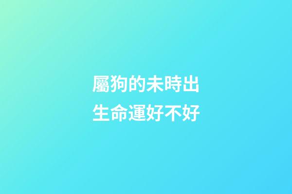 屬狗的未時出生命運好不好
