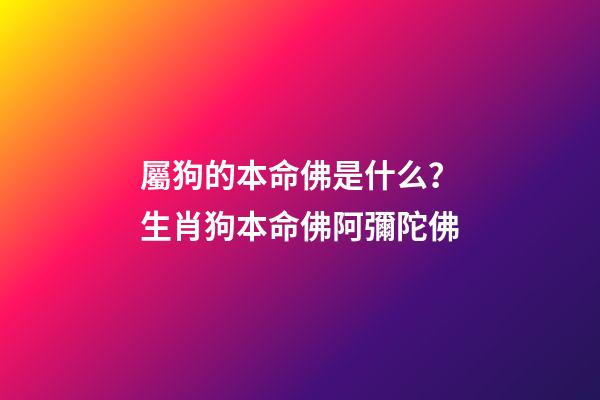 屬狗的本命佛是什么？生肖狗本命佛阿彌陀佛