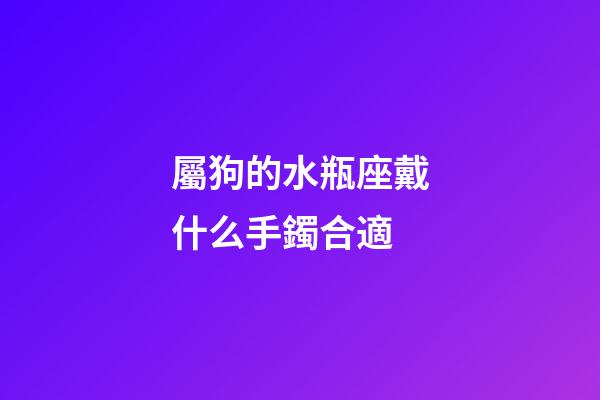 屬狗的水瓶座戴什么手鐲合適-第1張-星座運勢-玄機派