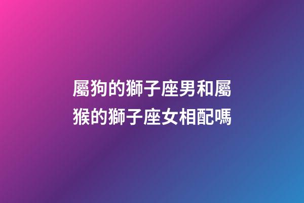 屬狗的獅子座男和屬猴的獅子座女相配嗎-第1張-星座運勢-玄機派