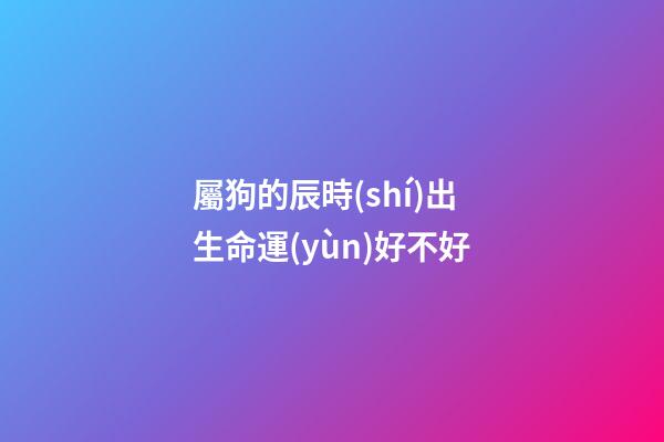 屬狗的辰時(shí)出生命運(yùn)好不好