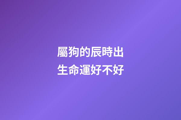 屬狗的辰時出生命運好不好