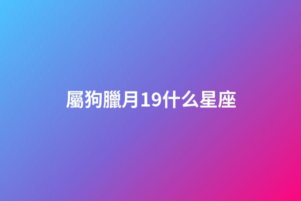 屬狗臘月19什么星座-第1張-星座運勢-玄機派
