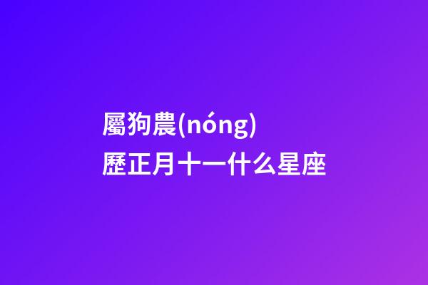 屬狗農(nóng)歷正月十一什么星座-第1張-星座運(yùn)勢(shì)-玄機(jī)派