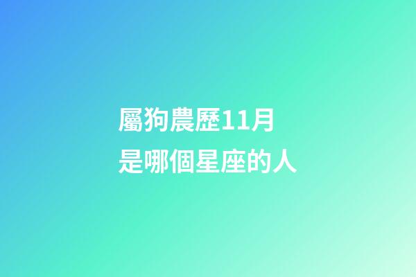 屬狗農歷11月是哪個星座的人-第1張-星座運勢-玄機派