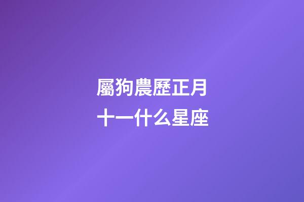 屬狗農歷正月十一什么星座