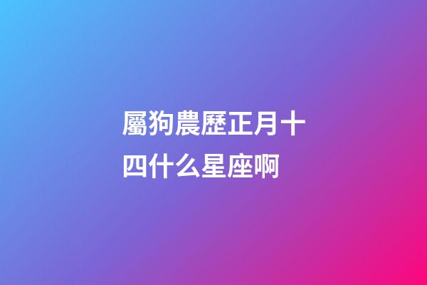 屬狗農歷正月十四什么星座啊-第1張-星座運勢-玄機派