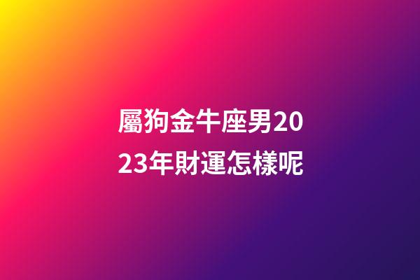 屬狗金牛座男2023年財運怎樣呢-第1張-星座運勢-玄機派