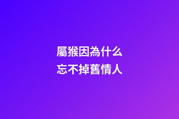 屬猴因為什么忘不掉舊情人