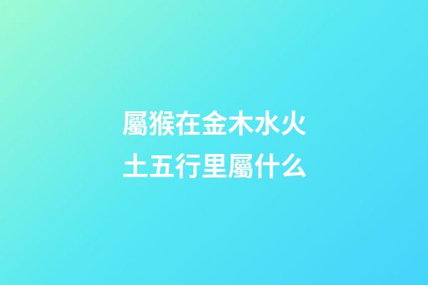 屬猴在金木水火土五行里屬什么