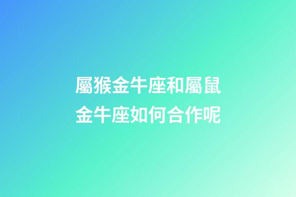屬猴金牛座和屬鼠金牛座如何合作呢-第1張-星座運勢-玄機派