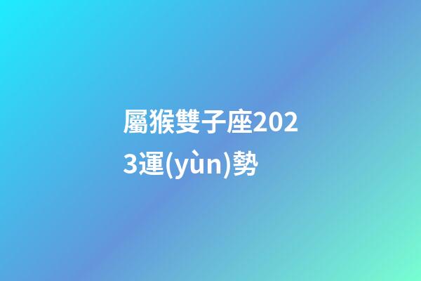 屬猴雙子座2023運(yùn)勢-第1張-星座運(yùn)勢-玄機(jī)派
