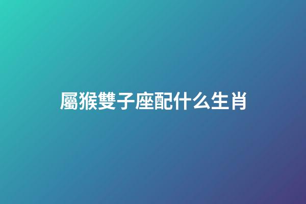 屬猴雙子座配什么生肖-第1張-星座運勢-玄機派