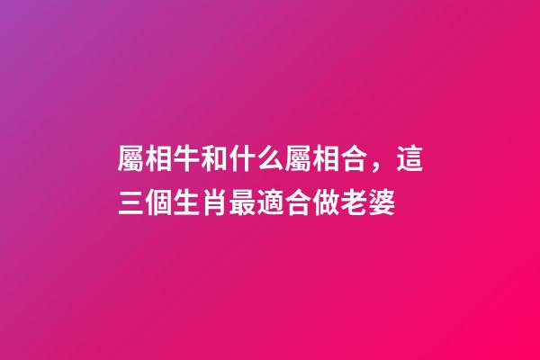 屬相牛和什么屬相合，這三個生肖最適合做老婆-第1張-觀點-玄機派