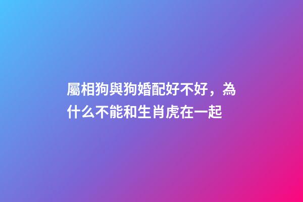 屬相狗與狗婚配好不好，為什么不能和生肖虎在一起-第1張-觀點(diǎn)-玄機(jī)派