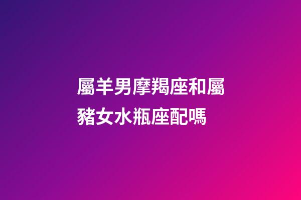 屬羊男摩羯座和屬豬女水瓶座配嗎-第1張-星座運勢-玄機派
