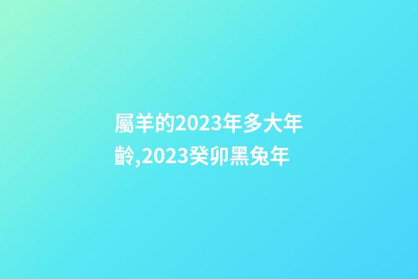屬羊的2023年多大年齡,2023癸卯黑兔年-第1張-觀點-玄機派