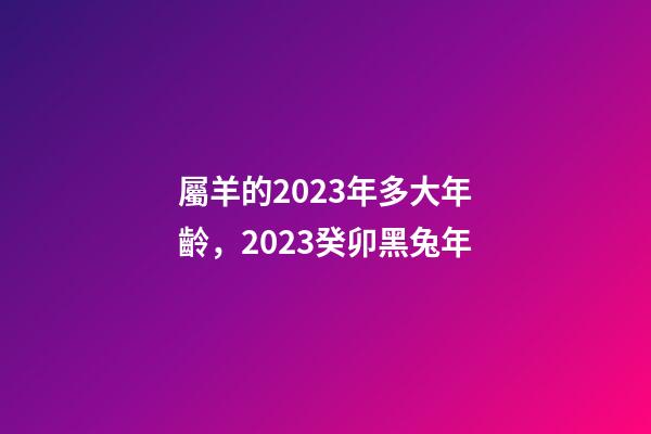 屬羊的2023年多大年齡，2023癸卯黑兔年-第1張-觀點-玄機派