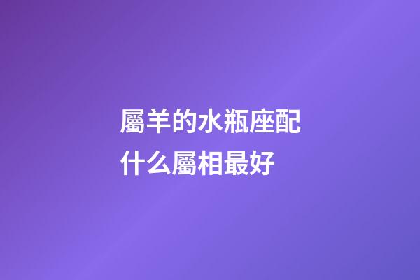 屬羊的水瓶座配什么屬相最好-第1張-星座運勢-玄機派