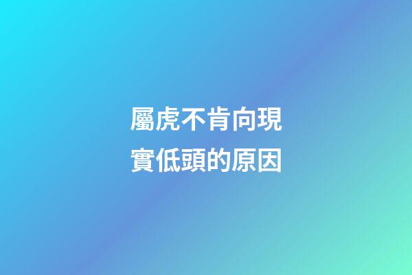 屬虎不肯向現實低頭的原因