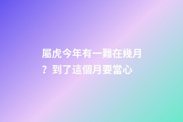 屬虎今年有一難在幾月？到了這個月要當心