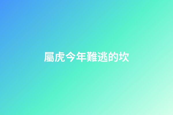 屬虎今年難逃的坎