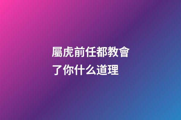 屬虎前任都教會了你什么道理