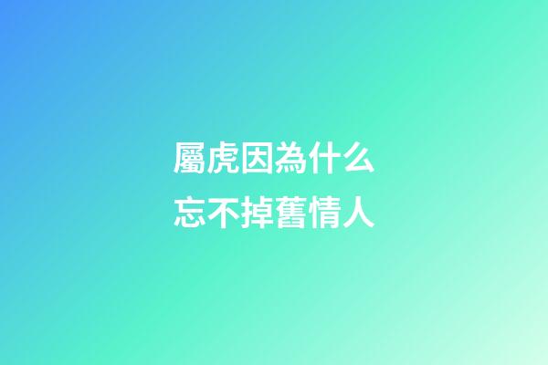 屬虎因為什么忘不掉舊情人
