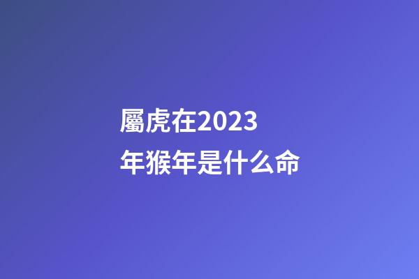 屬虎在2023年猴年是什么命