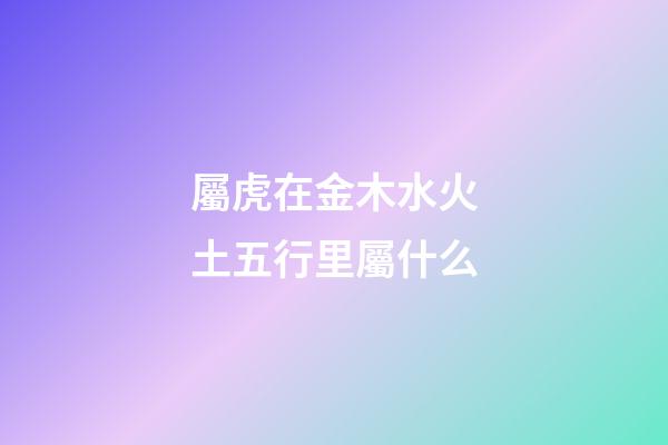 屬虎在金木水火土五行里屬什么