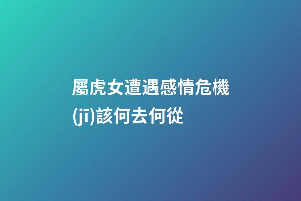 屬虎女遭遇感情危機(jī)該何去何從
