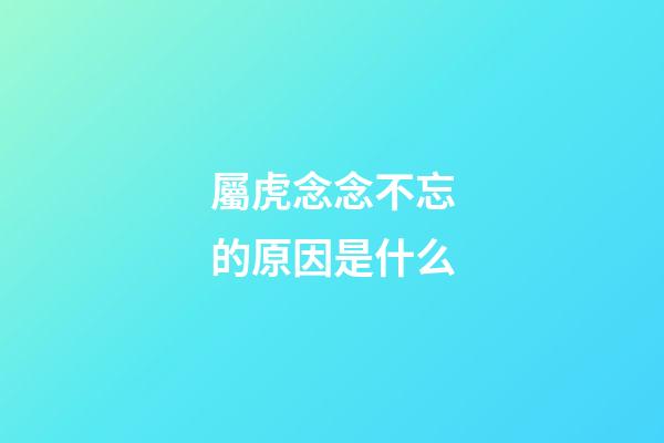 屬虎念念不忘的原因是什么