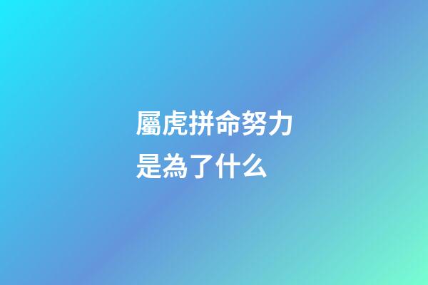 屬虎拼命努力是為了什么